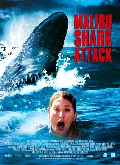 Malibu Shark Attack