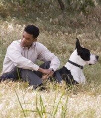 W. Smithui bučinys filme – tarsi sukčiavimas