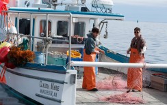 Mančestra pie jūras