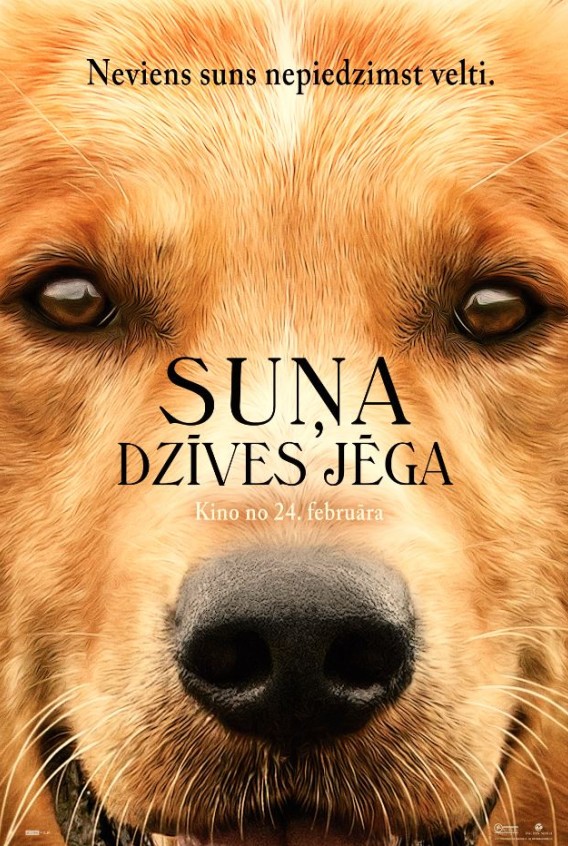 Suņa dzīves jēga