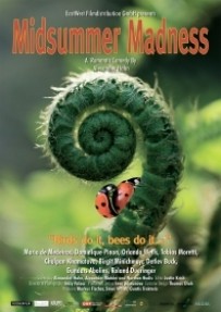 Midsummer Madness