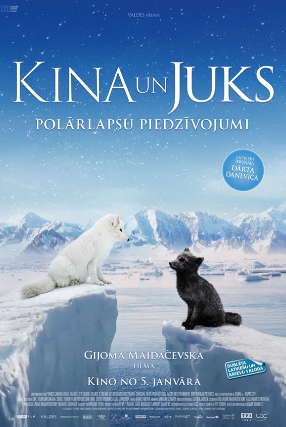Meitene, vārdā Vilo