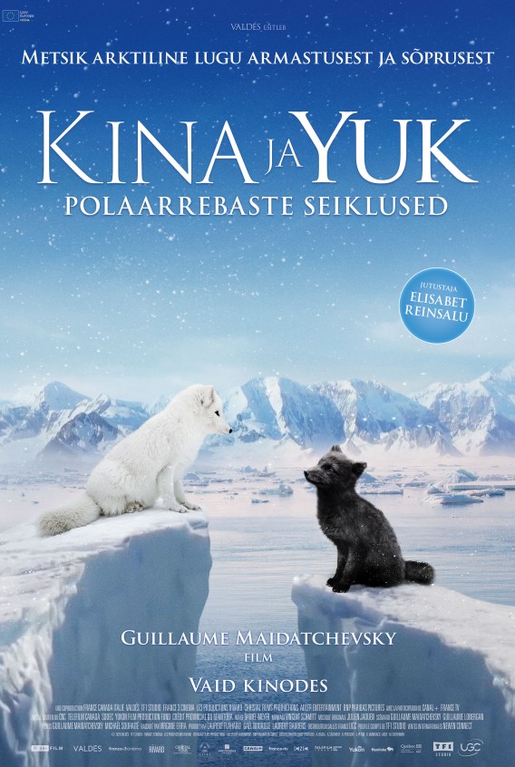 TÜDRUK NIMEGA WILLOW