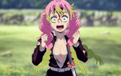 DEMON SLAYER: Kimetsu no Yaiba - To the Hashira Training