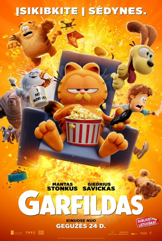 10 KATINO GYVENIMŲ