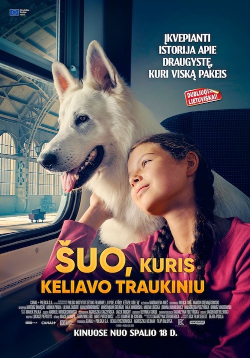ŠUO, KURIS KELIAVO TRAUKINIU 2