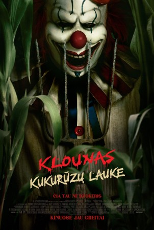 KLOUNAS KUKURŪZŲ LAUKE