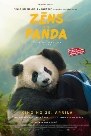 Zēns un panda