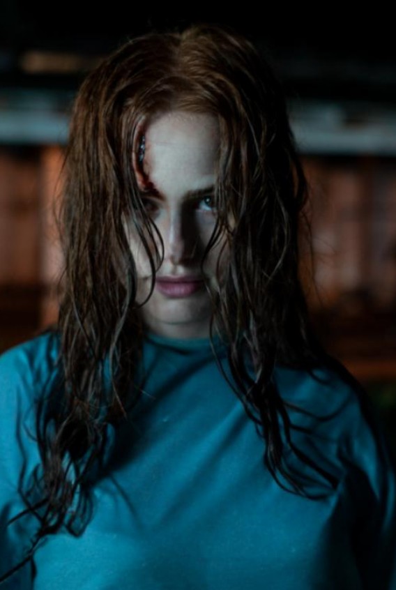 Siaubo trilerio „Nepažįstamieji: 2 dalis“ režisierius apie keistą filmavimų procesą: dabar stebisi net skeptikai