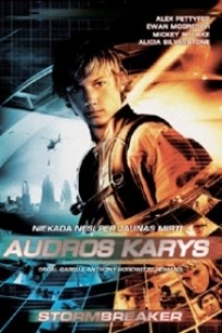 Audros karys