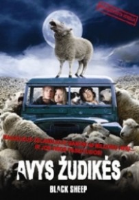 AVYS ŽUDIKĖS