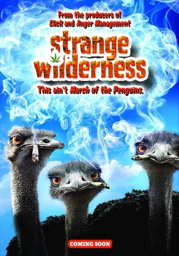 Strange Wilderness