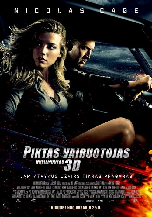 Piktas vairuotojas 3D